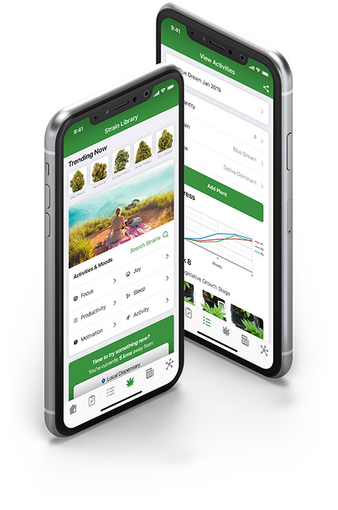 Cannabis App iOS Android