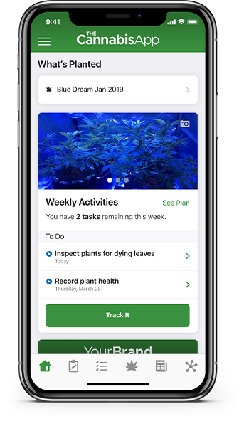 Alt Cannabis Mobile App